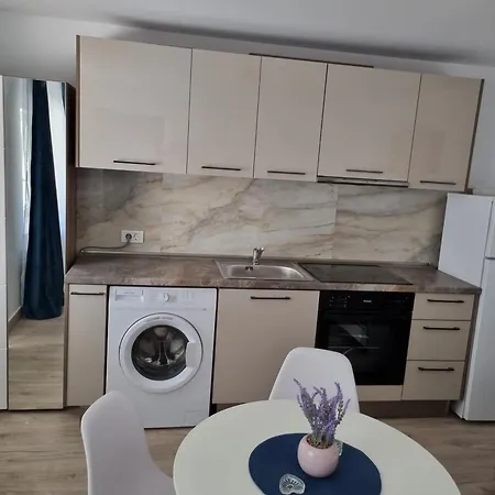 Apartmán Sonia 2 La Curte Constanţa