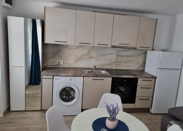 Apartment Sonia 2 La Curte Constanta