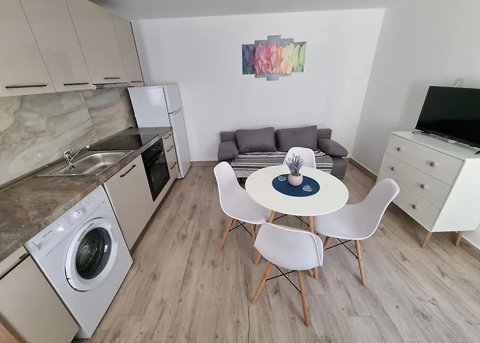 Apartment Sonia 2 La Curte Constanta