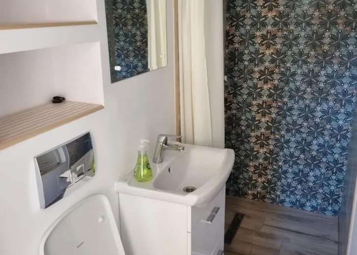 Sonia 2 La Curte Constanta